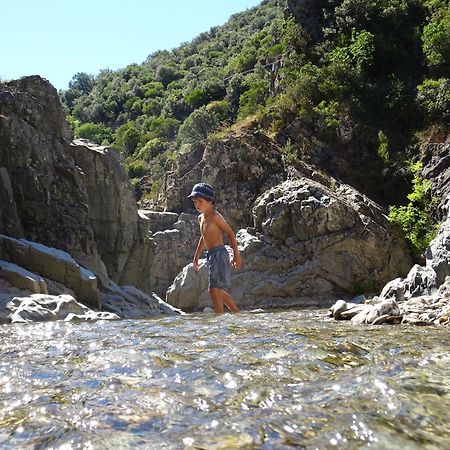 La Frigoule, Un Gite Au Coeur Du Parc Des Cevennes Generargues Exteriör bild