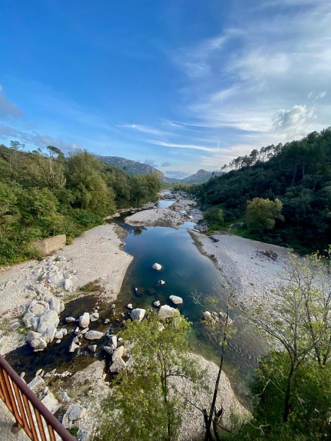 La Frigoule, Un Gite Au Coeur Du Parc Des Cevennes Generargues Exteriör bild