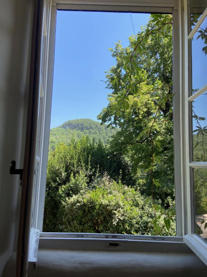 La Frigoule, Un Gite Au Coeur Du Parc Des Cevennes Generargues Exteriör bild