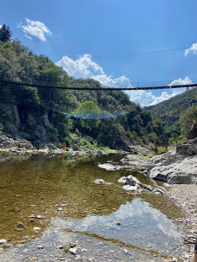 La Frigoule, Un Gite Au Coeur Du Parc Des Cevennes Generargues Exteriör bild
